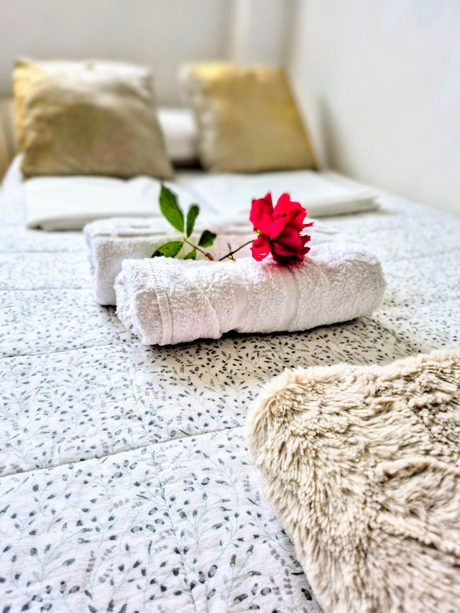 Ideal For Camino Quiet Basic Room Away From Crowds In Private House 지주르메이어 외부 사진